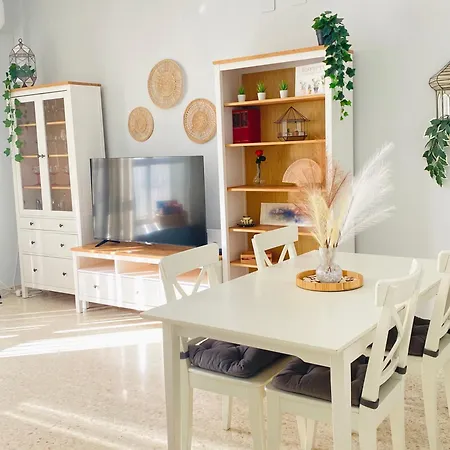 Atico Sonnenschein جيريز