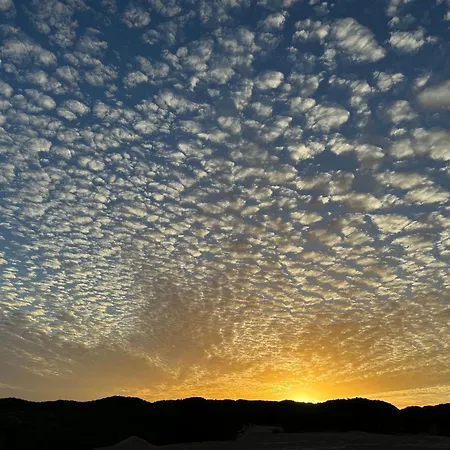 ático Sonnenschein *