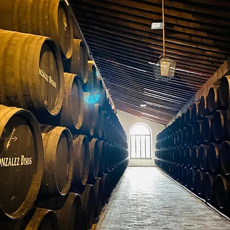 شقة Atico Sonnenschein جيريز