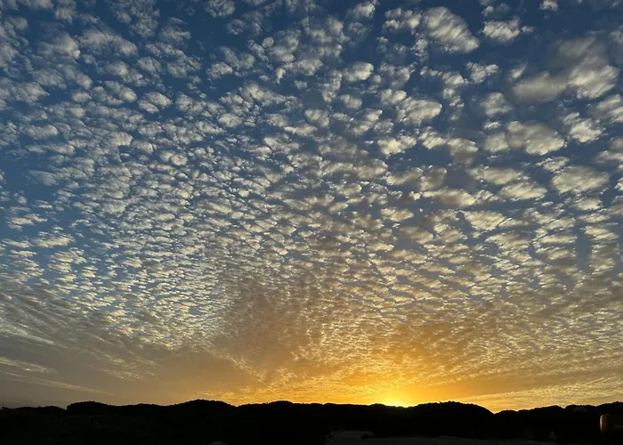 ático Sonnenschein *