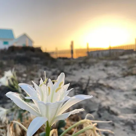 公寓 Atico Sonnenschein *