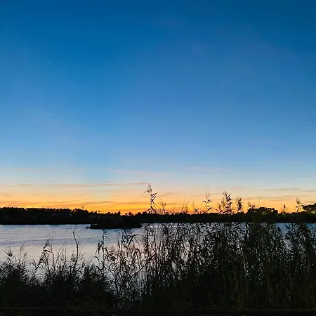 Atico Sonnenschein *