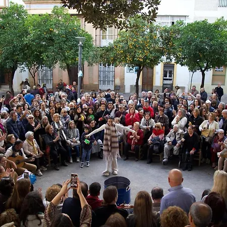 Atico Sonnenschein Jerez de la Frontera