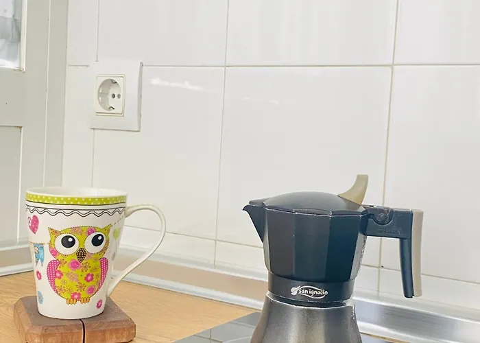 公寓 Atico Sonnenschein 赫雷斯