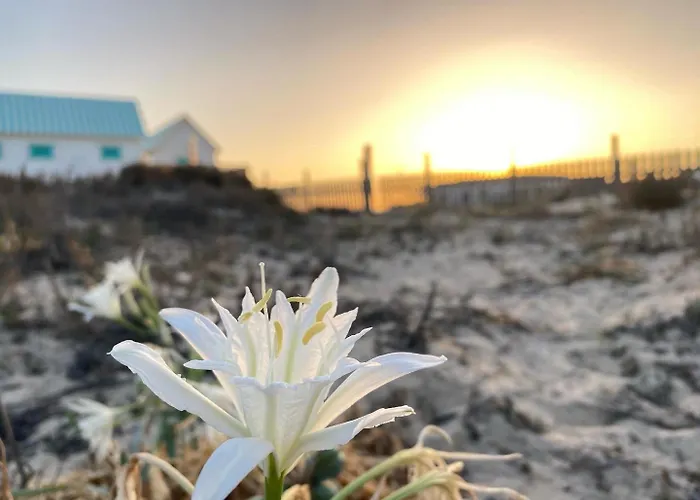 公寓 Atico Sonnenschein *