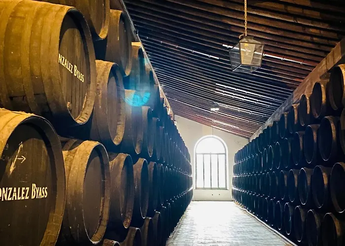 公寓 Atico Sonnenschein 赫雷斯