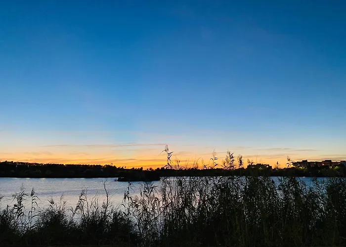 Atico Sonnenschein *